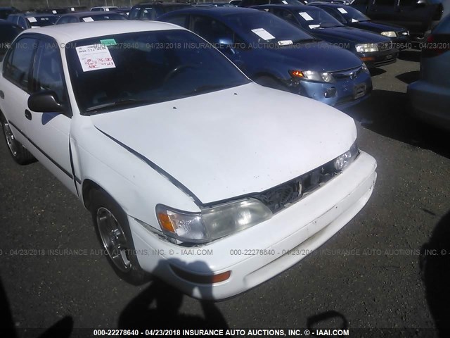 JT2AE09B9S0091145 - 1995 TOYOTA COROLLA LE/DX 白色 照片 6
