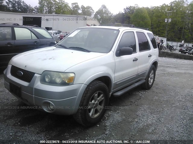 1FMYU93197KA34741 - 2007 FORD ESCAPE XLT WHITE photo 2