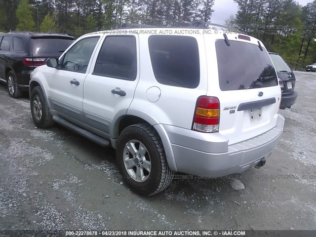 1FMYU93197KA34741 - 2007 FORD ESCAPE XLT WHITE photo 3