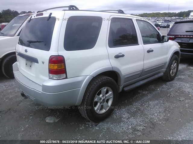 1FMYU93197KA34741 - 2007 FORD ESCAPE XLT WHITE photo 4