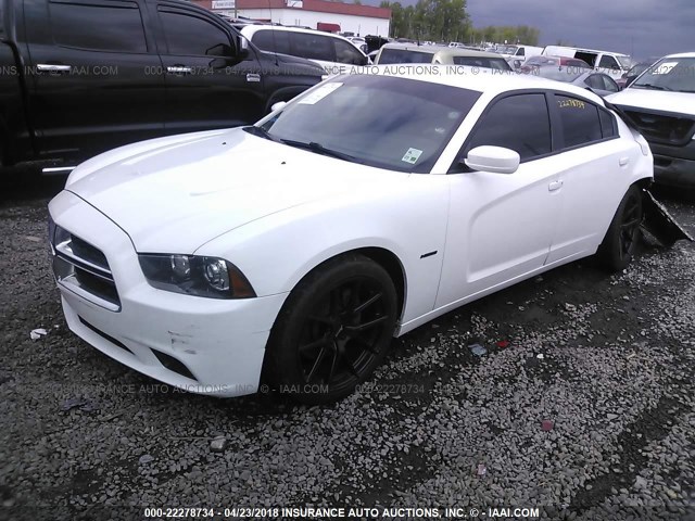 2C3CDXCT7DH718120 - 2013 DODGE CHARGER R/T WHITE photo 2