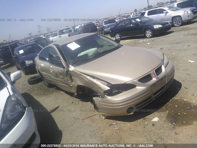 1G2NE52F22C220459 - 2002 PONTIAC GRAND AM SE GOLD photo 1