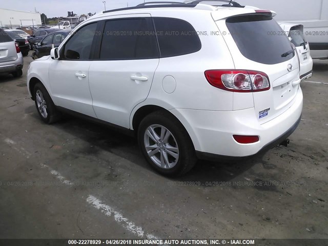 5XYZH4AG0BG032768 - 2011 HYUNDAI SANTA FE SE WHITE photo 3