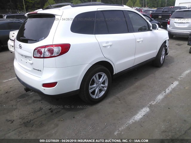 5XYZH4AG0BG032768 - 2011 HYUNDAI SANTA FE SE WHITE photo 4