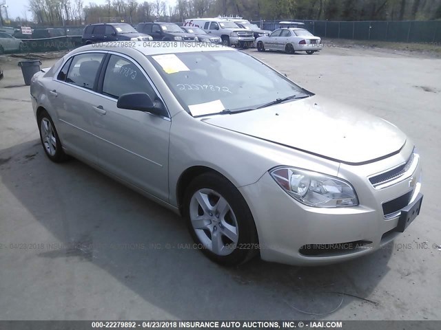 1G1ZB5EB0AF139495 - 2010 CHEVROLET MALIBU LS ოქროსფერი ფოტო 1