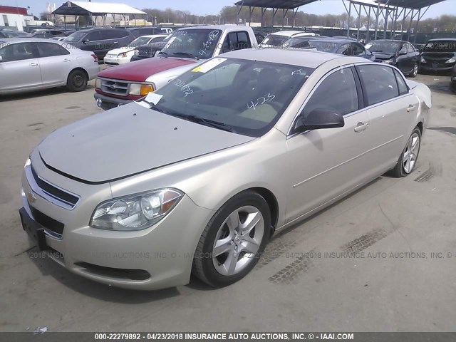 1G1ZB5EB0AF139495 - 2010 CHEVROLET MALIBU LS ოქროსფერი ფოტო 2