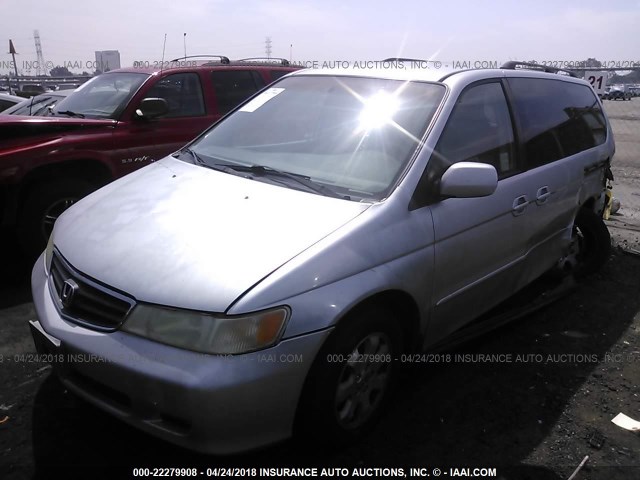 5FNRL18093B034789 - 2003 HONDA ODYSSEY EXL WHITE photo 2