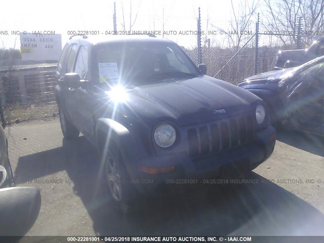 1J4GL48K23W536480 - 2003 JEEP LIBERTY SPORT/FREEDOM ლურჯი ფოტო 1