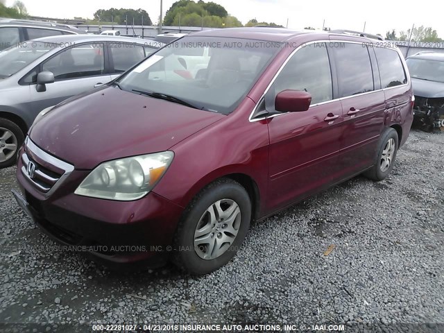 5FNRL38706B066866 - 2006 HONDA ODYSSEY EXL მუქწითელი ფოტო 2