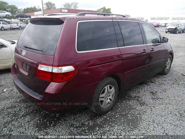 5FNRL38706B066866 - 2006 HONDA ODYSSEY EXL მუქწითელი ფოტო 4