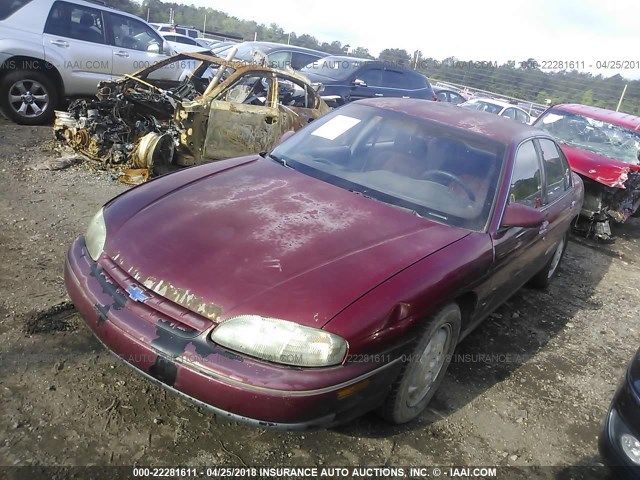 2G1WN52M6S1166404 - 1995 CHEVROLET LUMINA LS BURGUNDY photo 2