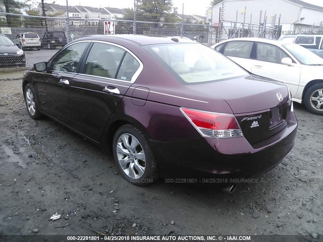 1HGCP36828A055192 - 2008 HONDA ACCORD EXL MAROON photo 3