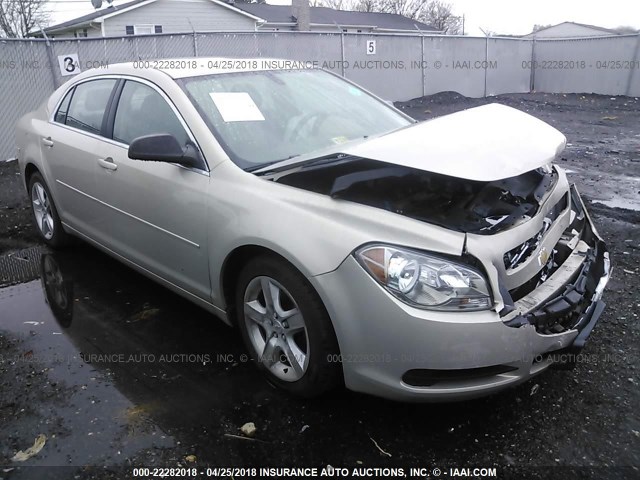 1G1ZB5EB0AF264657 - 2010 CHEVROLET MALIBU LS GOLD photo 1