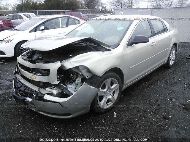 1G1ZB5EB0AF264657 - 2010 CHEVROLET MALIBU LS GOLD photo 2