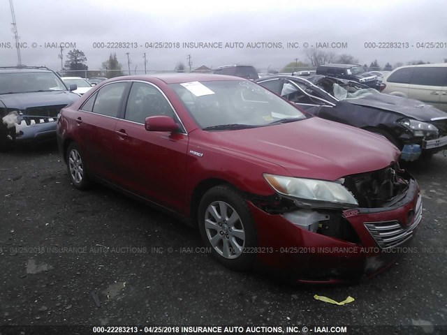 4T1BB46K59U077855 - 2009 TOYOTA CAMRY HYBRID RED photo 1