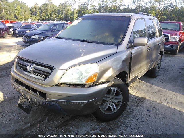 2HKYF18674H604508 - 2004 HONDA PILOT EXL GOLD photo 2