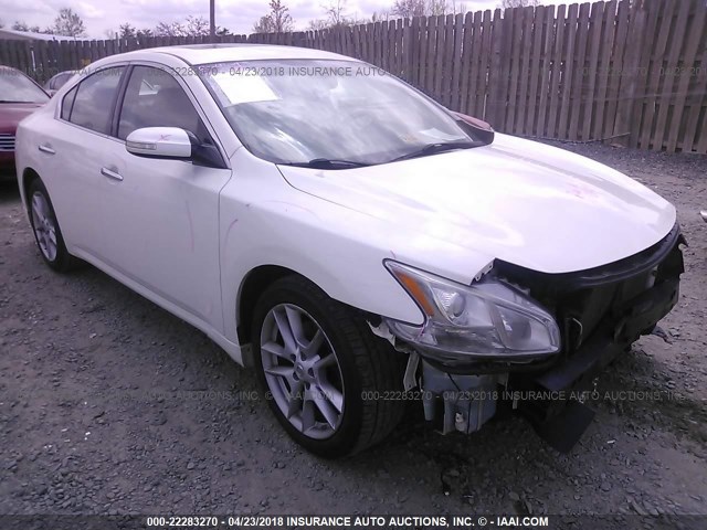 1N4AA5AP4AC824941 - 2010 NISSAN MAXIMA S/SV WHITE photo 1