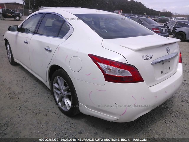 1N4AA5AP4AC824941 - 2010 NISSAN MAXIMA S/SV WHITE photo 3