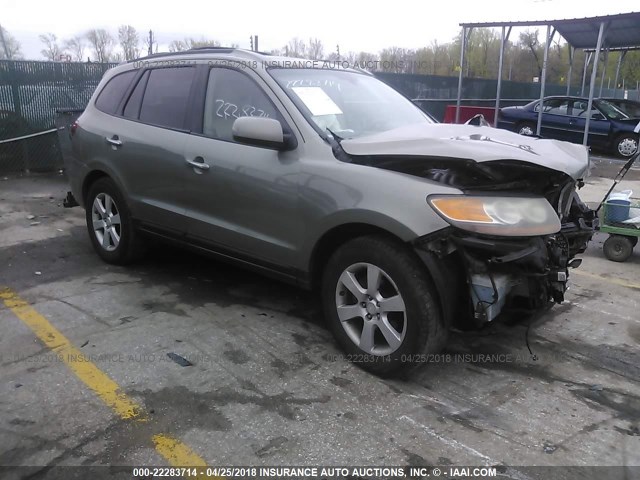 5NMSH13E07H019656 - 2007 HYUNDAI SANTA FE SE/LIMITED GREEN photo 1