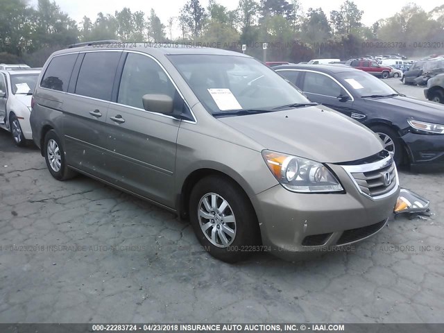 5FNRL3H76AB048039 - 2010 HONDA ODYSSEY EXL ყავისფერი ფოტო 1