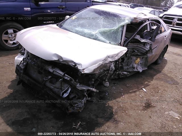 4T1BE46K08U227957 - 2008 TOYOTA CAMRY CE/LE/XLE/SE TAN photo 2