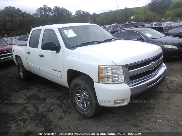 3GCPKSE31BG154285 - 2011 CHEVROLET SILVERADO K1500 LT WHITE photo 1