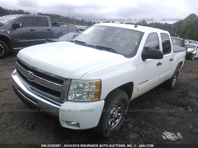 3GCPKSE31BG154285 - 2011 CHEVROLET SILVERADO K1500 LT WHITE photo 2