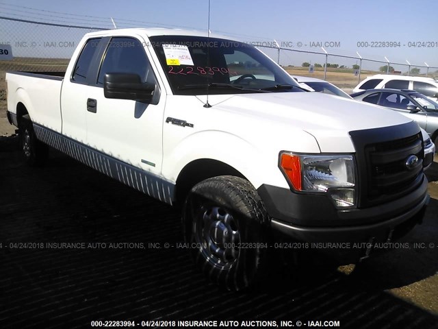 1FTFX1CT3DKE62791 - 2013 FORD F150 SUPER CAB WHITE photo 1