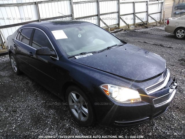 1G1ZG57B89F114418 - 2009 CHEVROLET MALIBU LS 蓝色 照片 1