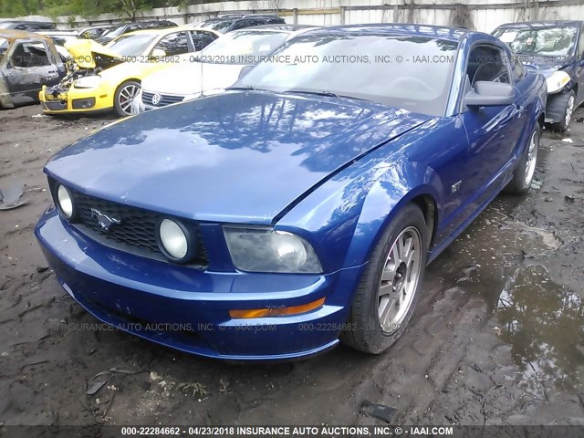1ZVFT82H365143097 - 2006 FORD MUSTANG GT BLUE photo 2