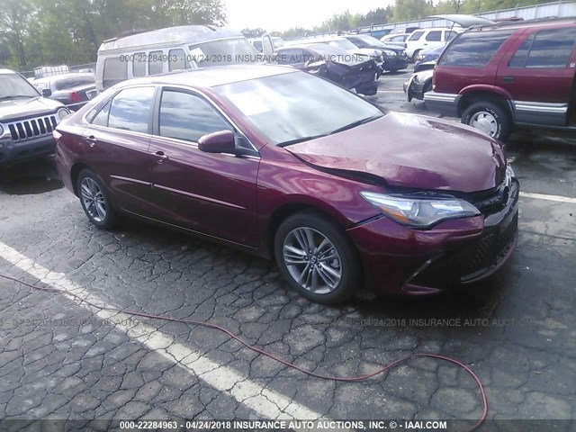 4T1BF1FK8HU752051 - 2017 TOYOTA CAMRY LE/XLE/SE/XSE RED photo 1