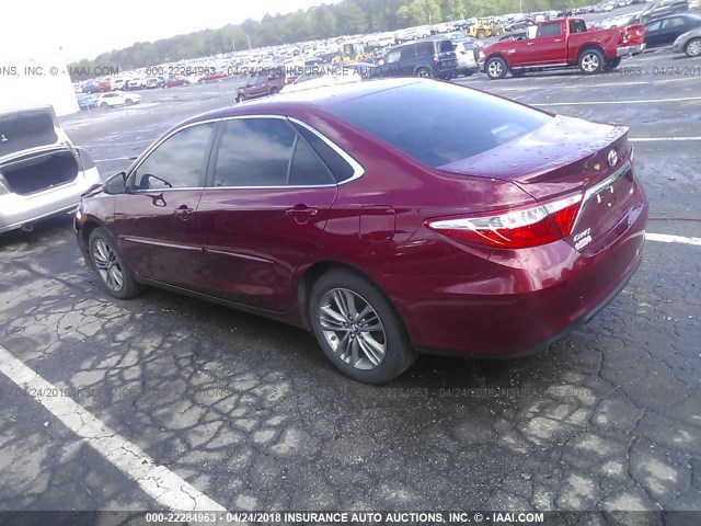 4T1BF1FK8HU752051 - 2017 TOYOTA CAMRY LE/XLE/SE/XSE RED photo 3