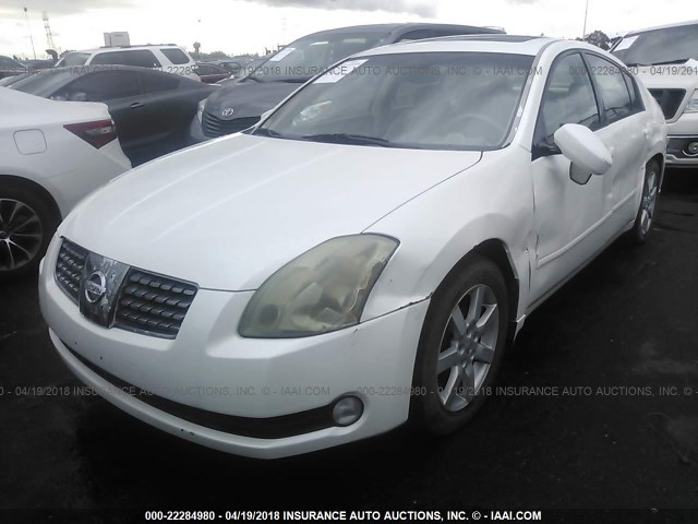 1N4BA41E95C871238 - 2005 NISSAN MAXIMA SE/SL WHITE photo 2