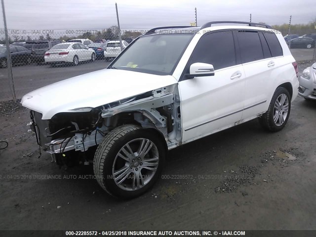 WDCGG8JB6FG383252 - 2015 MERCEDES-BENZ GLK 350 4MATIC WHITE photo 2