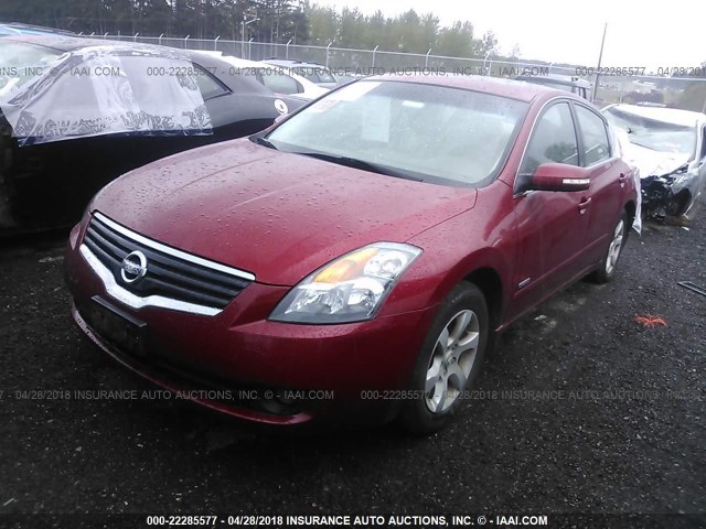 1N4CL21E99C154055 - 2009 NISSAN ALTIMA HYBRID RED photo 2