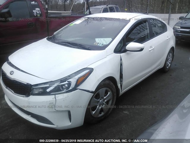 3KPFK4A73HE146449 - 2017 KIA FORTE LX WHITE photo 2