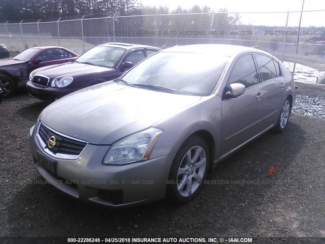 1N4BA41E87C860556 - 2007 NISSAN MAXIMA SE/SL GOLD photo 2