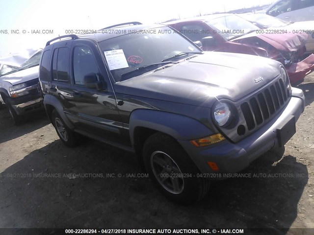 1J4GL48K75W592014 - 2005 JEEP LIBERTY SPORT GRAY photo 1