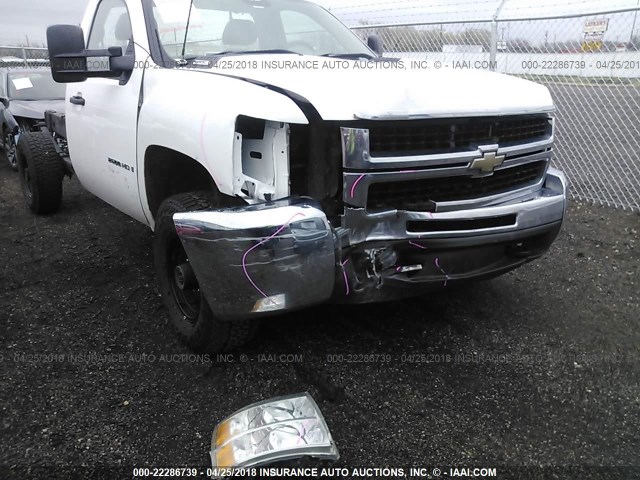 1GCHK24KX8E170224 - 2008 CHEVROLET SILVERADO K2500 HEAVY DUTY WHITE photo 6