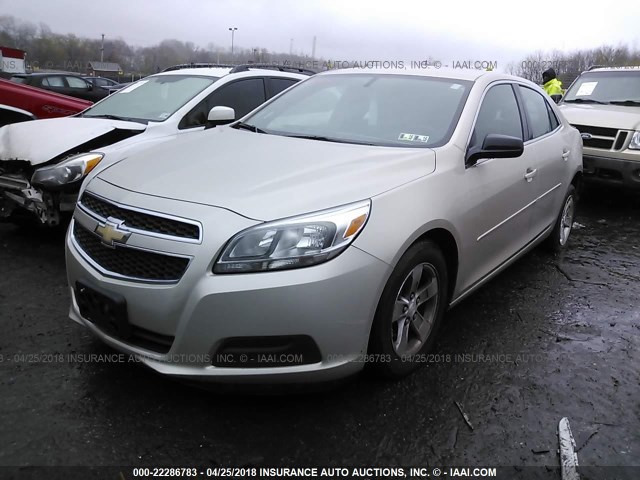 1G11B5SA8DF148670 - 2013 CHEVROLET MALIBU LS 米色 照片 2