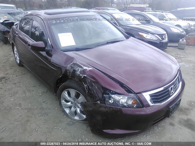 1HGCP26809A039875 - 2009 HONDA ACCORD EXL MAROON photo 6