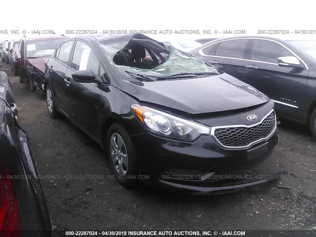 KNAFK4A61G5503402 - 2016 KIA FORTE LX BLACK photo 1