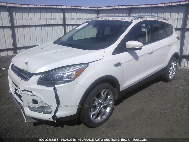 1FMCU9JX1EUA22845 - 2014 FORD ESCAPE TITANIUM WHITE photo 2