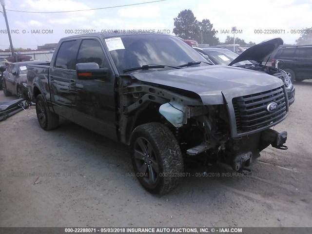 1FTFW1EF1CFC10880 - 2012 FORD F150 SUPERCREW GRAY photo 1