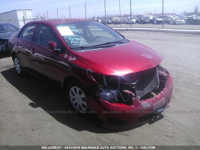 1NXBU40E49Z117873 - 2009 TOYOTA COROLLA S/LE/XLE RED photo 1