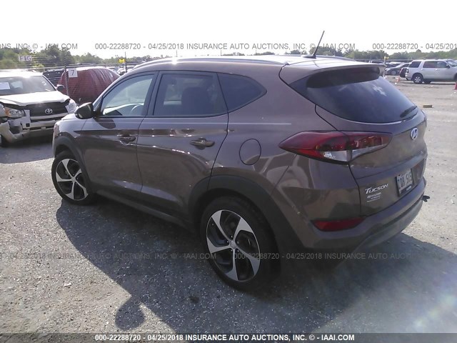 KM8J33A28GU076173 - 2016 HYUNDAI TUCSON LIMITED/SPORT AND ECO/SE BROWN photo 3
