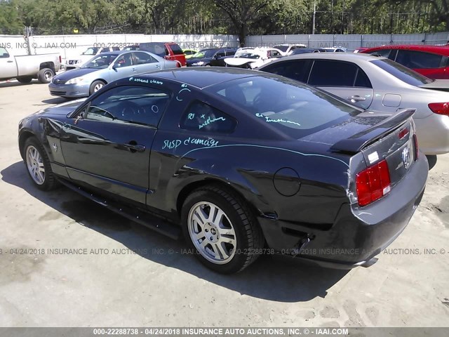 1ZVHT82H895133713 - 2009 FORD MUSTANG GT GRAY photo 3