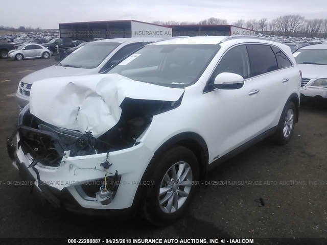 5XYPGDA38HG188282 - 2017 KIA SORENTO LX/L WHITE photo 2