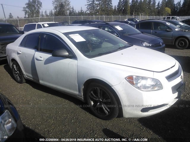 1G1ZA5E17BF314787 - 2011 CHEVROLET MALIBU LS 白色 照片 1