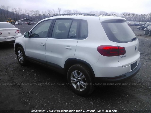 WVGBV7AX3HK013240 - 2017 VOLKSWAGEN TIGUAN S/LIMITED WHITE photo 3